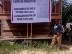 APAKAH TANAH BUKAN HAK MILIK KITA DI TANAMI KEMUDIAN TANAH ITU MENJADI MILIK KITA ?PENYEROBOTAN LAHAN TANAH WILAYAT DESA LUBUK BENDAHARA OLEH OKNUM TIDAK BERTANGGUNG JAWAB