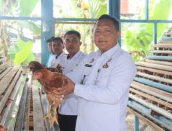 Perkuat Pembinaan dan Ketahanan Pangan : Lapas Pasir Pangarayan Berdayakan Ternak Ayam Petelur