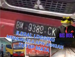 LAPOR PAK KAPOLDA ,,,!!!  TERKAIT Aktivitas Ilegal Logging Yang Diamankan,APH JANGAN TUTUP MATA ,Diduga BB Hilang Entah Kemana