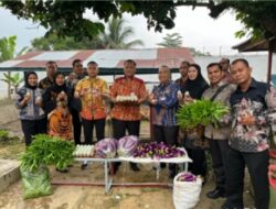 Ketahanan Pangan hasil Panen ,Jadikan Lapas Pasir Pangaraian Semakin Produktif