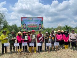 Kelompok Tani Berkah Alam Purnama Bersama Polsek Kempas dan Bhayangkari Tanam Jagung Dukung Program Ketahanan Pangan.