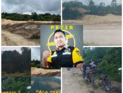 Aktivitas Peti Kembali Menggila di Muara Lembu Kecamatan Singingi Petir Kuansing, Minta Aparat Penegak Hukum Tindak Tegas.