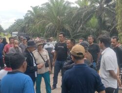 Anggota Kelompok Tani Kubersa dan Masyarakat Desa Pantai Raja Halau Pemasangan Patok Oleh Kelompok Hanafi CS.