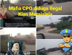 Diduga CPO Ilegal Kian Menjamur, Di Rantau Bais, APH Seolah tutup mata