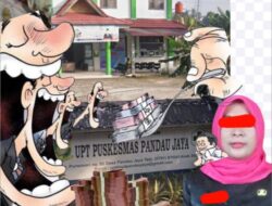 Terbongkar !!! ES diduga menjadi Peran Utama terkait, penyimpangan Anggaran Bantuan Operasional (BOK) Desa Pandau Jaya ,dan Program Dana Anggaran Untuk Anak/Ibu Kurang Gizi,