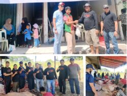 PT Yabisa Sukses Mandiri Qurban 4 Ekor Kerbau dan 1 Ekor Sapi Berbagi di Idul Adha 1446 H Kepada Juru Parkir Di Zona Satu Kota Pekanbaru