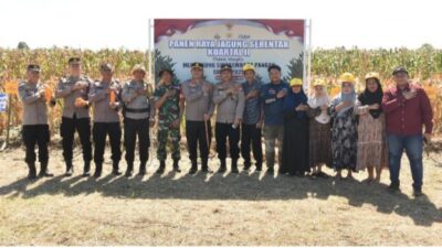 Kapolres Bulukumba Ikut Panen Jagung Serentak di Kecamatan Gantarang