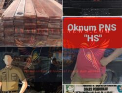 LAPOR PAK KAPOLDA RIAU !!! Ada Oknum PNS berinisial (HS) yang berprofesi sebagi Guru Diduga Terlibat Aktivitas Ilegal Logging