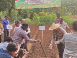 Dalam rangka mendukung program nasional ketahanan pangan, Polres Metro Bekasi Kota Dan Polda Metro Jaya melaksanakan kegiatan Penanaman Jagung Serentak Kuartal III