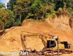 Aktivitas PETI di Kawasan HPT Sungai Ongau Wilayah Pulau Padang, Pelakunya diduga Bernama Ari, Buyung dan Aden, APH Setempat Kemana Ya?