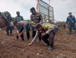 Polres Dumai Tanam Jagung Satu Hektare Dukung Ketahanan Pangan Nasional