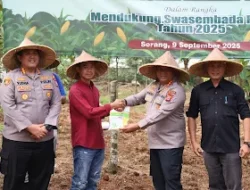 Polda Banten Gelar Tanam Jagung di Lahan 10 Hektar Dukung Ketahanan Pangan