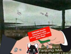 Maraknya Tambak Udang Ilegal, diduga Milik Samtiong Tidak memiliki Izin, dan bungkamkan dinas dinas terkait !!!