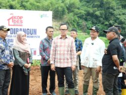 Dinilai Ideal, Lokasi Pembangunan Kopdeskel di Desa Ciptasari Sumedang Ditinjau Wamendagri Bima