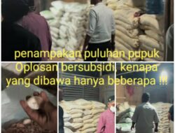 Sindikat peredaran pupuk Oplosan lintas wilayah kembali lagi digagalkan, Puluhan Pupuk Oplosan siap edar, Diamankan Polsek Kandis