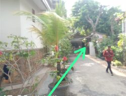 Peredaran Obat Terlarang di Compreng Subang Diduga Luput dari Pengawasan, Kapolsek Baru Diharapkan Bertindak Tegas