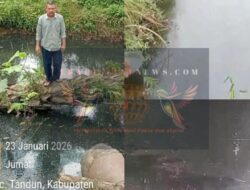 Di Duga Sering Jebol, Warga Desa Koto Tandun Keluhkan Limbah Pabrik PKS PT Surya Sawit Mandiri Cemari Sungai, Warga Minta KLHK RI Turun Tangan