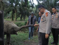 Kapolres Kampar Sambut Tamu Kapolda dari Komunitas Green Policing Runners di TWA Desa Buluh Cina