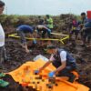 Temukan Kerangka Manusia, Polsek Tambang Himbau Warga Yang Merasa Kehilangan Segera Melapor!