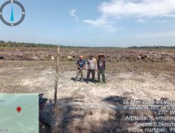 Polsek Siak Hulu Gesit Cek Progres Proyek Swasembada Pangan, Lahan 10 Hektar KOPPSA-M Rampung Ditanami