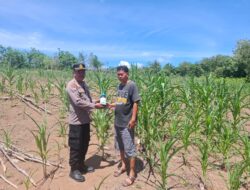 POLSEK TAMBUSAI CINTA PETANI, BERIKAN BANTUAN RACUN HAMA KEPADA PETANI.