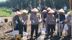 Kapolres Kampar Pimpin Tanam Jagung Kuartal II Bersama KOPPSA-M di Pangkalan Baru, 200 Hadirin Saksikan Kolaborasi Nyata Ketahanan Pangan