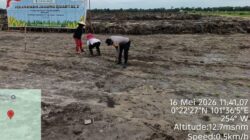 Bhabinkamtibmas Pangkalan Baru Polsek Siak Hulu Cek Lahan Jagung Pipil Kuartal-II, Dukung Ketahanan Pangan