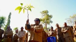 Dukung Gerakan Indonesia ASRI, Wamendagri Ribka Haluk Ajak Pemda dan Masyarakat NTT Tanam Pohon